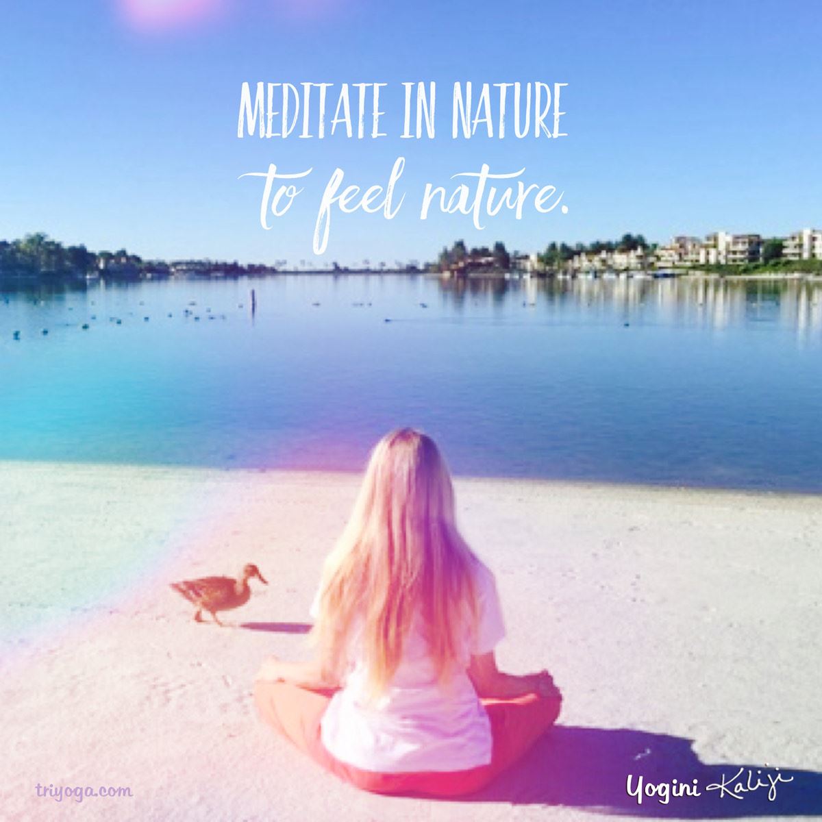 Feel Nature