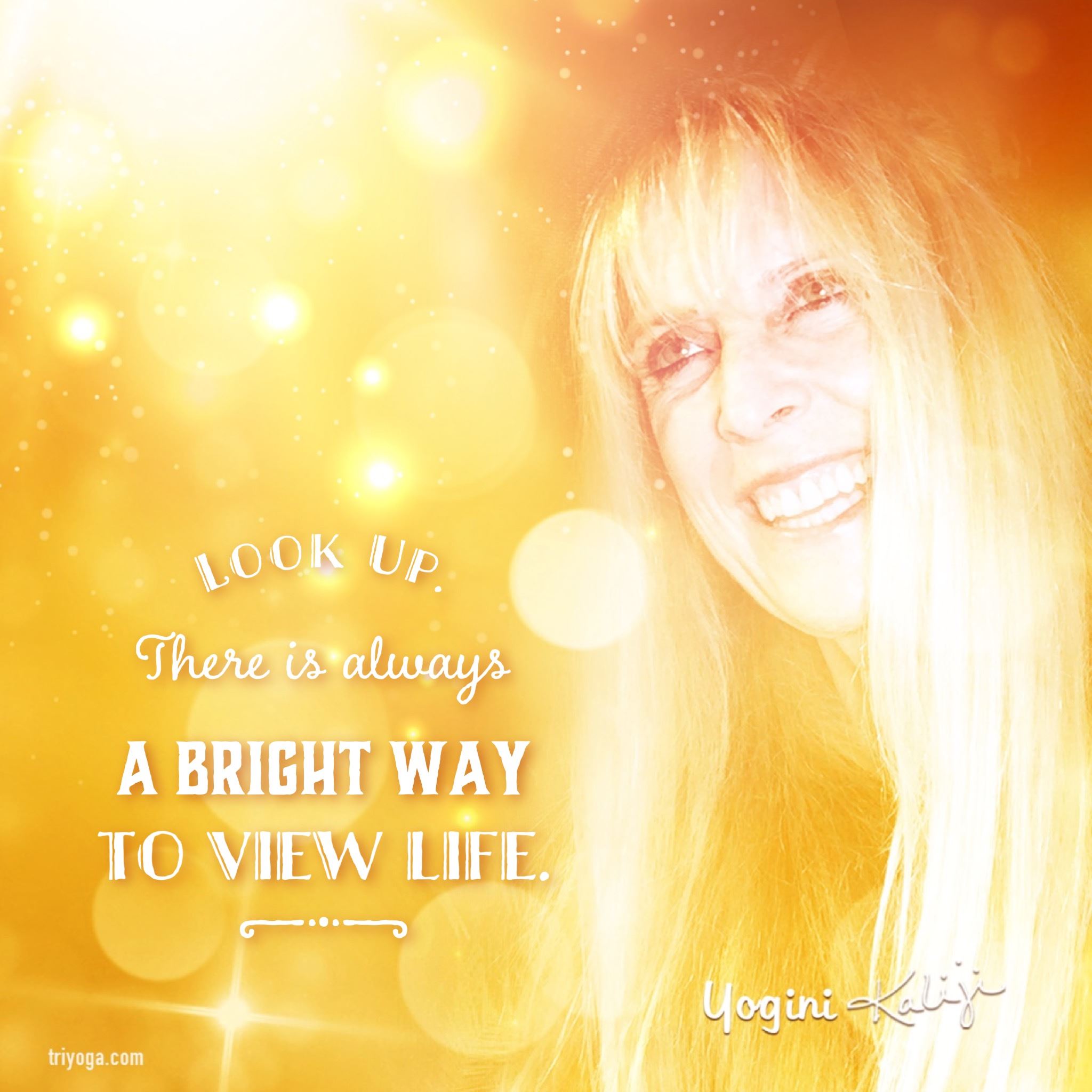 Quote - Look Up