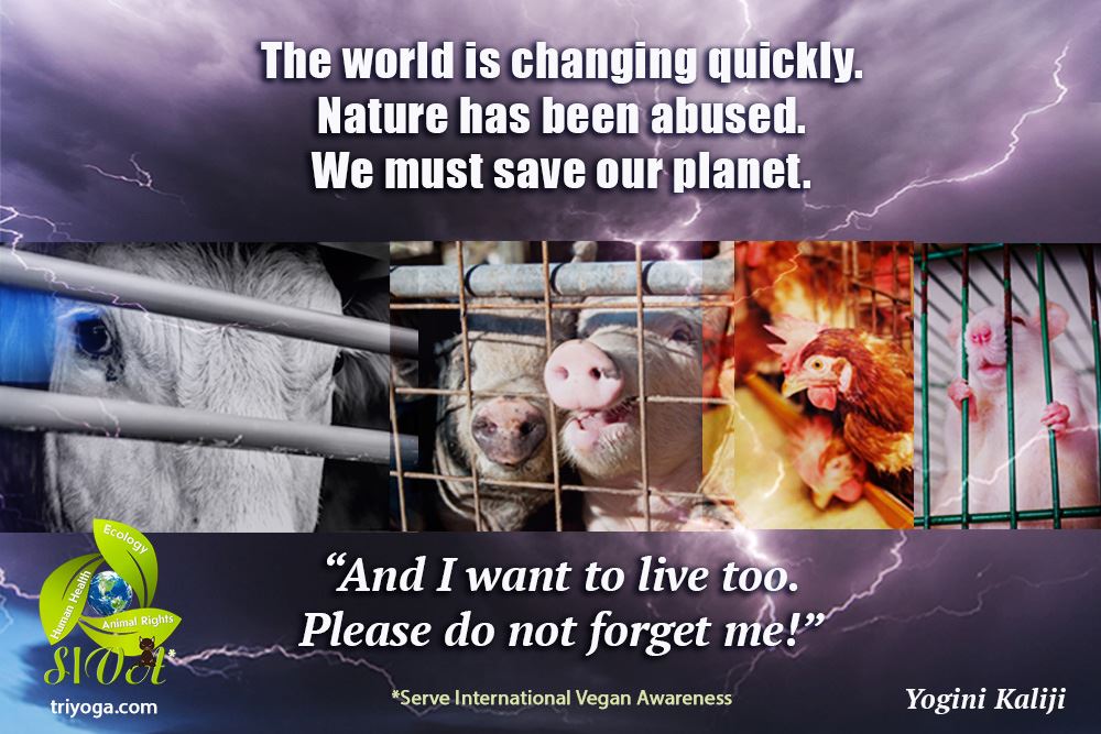 Save World