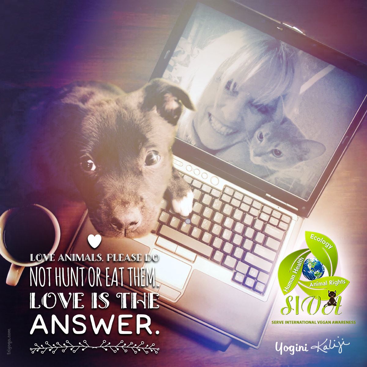 Love is the Answer