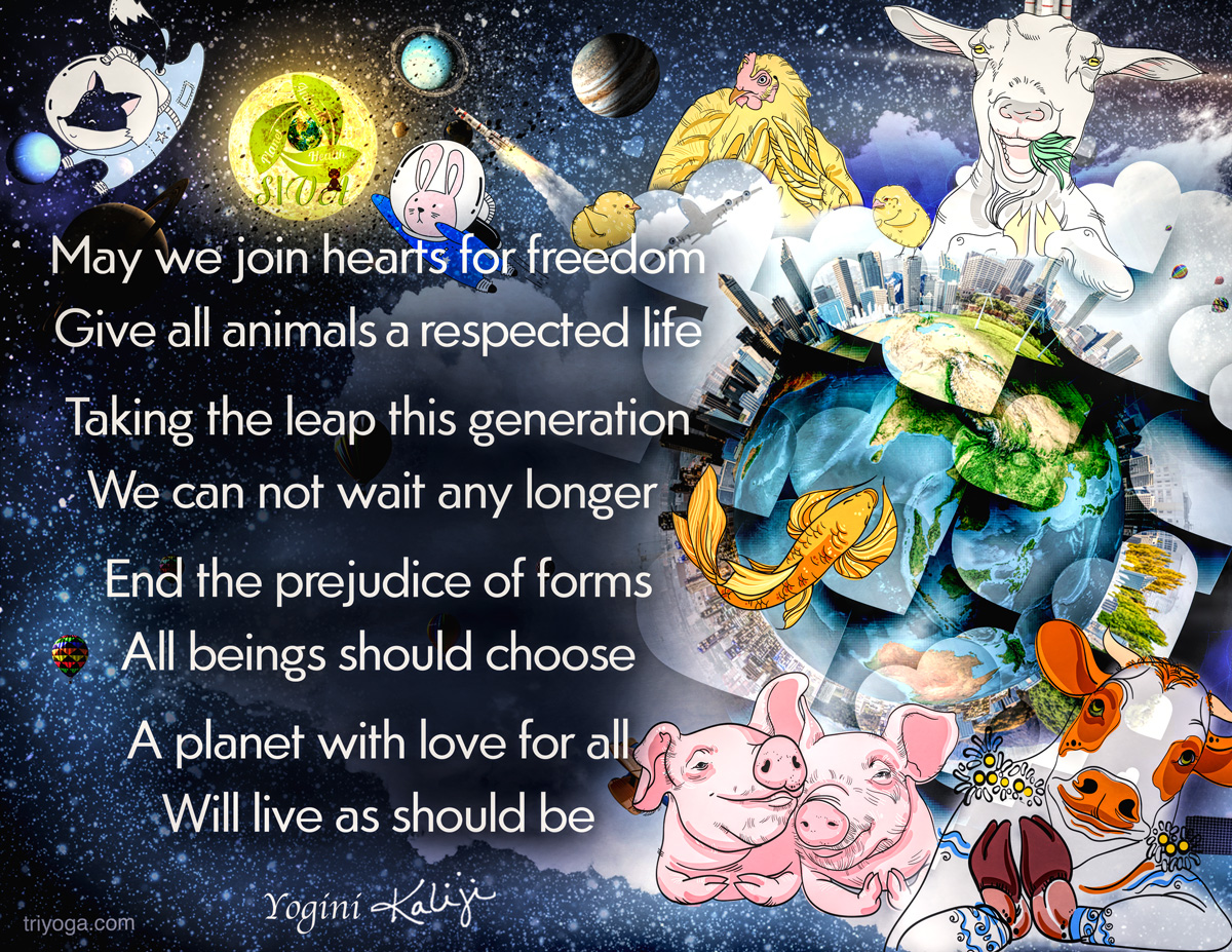 Join Freedom quote