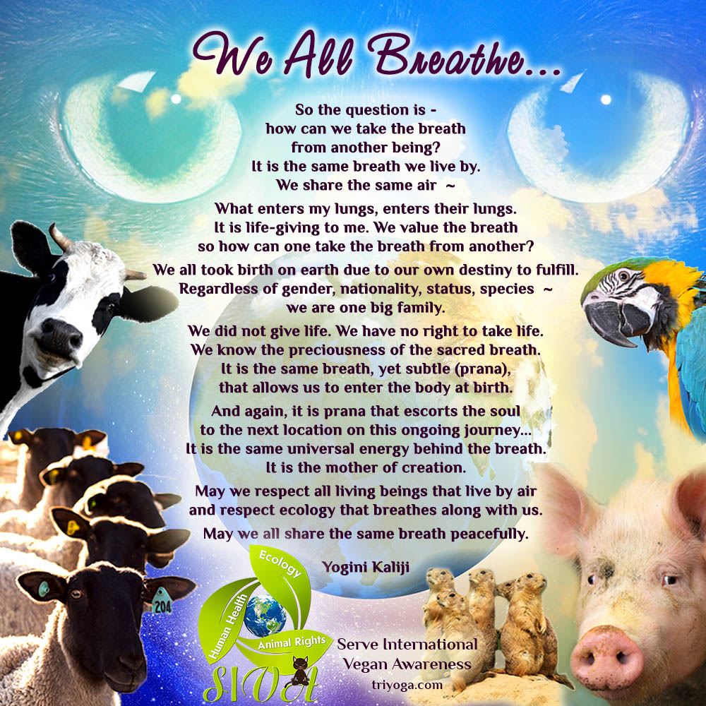 We All Breathe