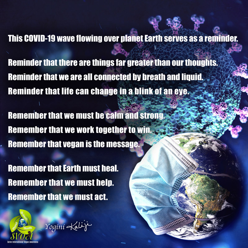 COVID19 quote