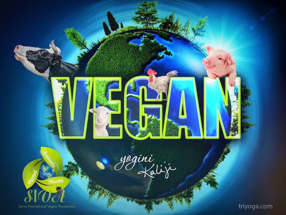 Vegan lifestyle